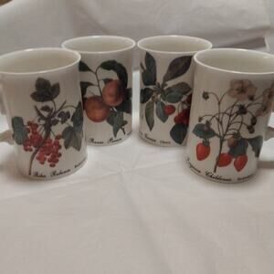 Set of 4 Dunoon Fine China Mugs